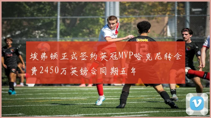 埃弗顿正式签约英冠MVP哈克尼转会费2450万英镑合同期五年