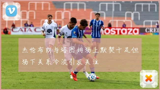 杰伦布朗与塔图姆场上默契十足但场下关系冷淡引发关注