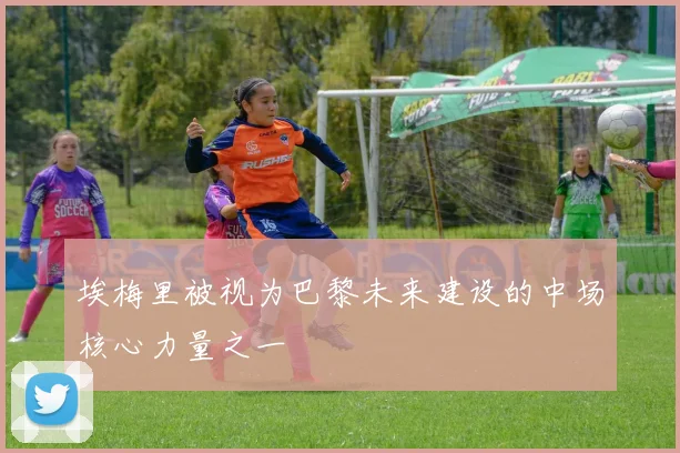 埃梅里被视为巴黎未来建设的中场核心力量之一